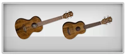 Luna Acoustic Guitars