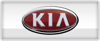 Best Kits Kia Installation Harnesses