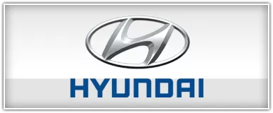 Hyundai iPod Solution Adapters