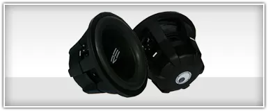 RE Audio 10 Inch Subwoofers
