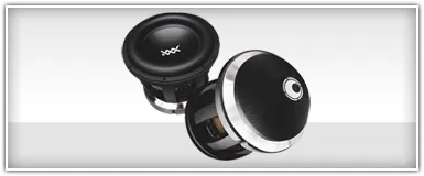 RE Audio 15 Inch Subwoofers
