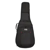 Acoustic Guitar Cases