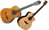 Acoustic & Classical Guitars