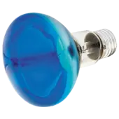 LED Lamps & Standard Bulbs