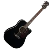 Acoustic Electric