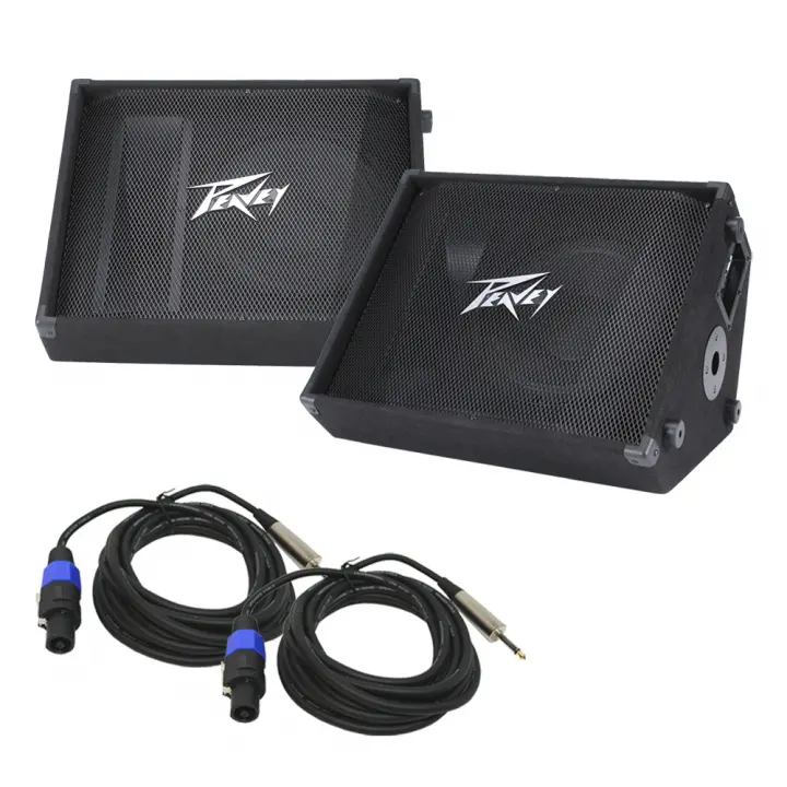 2) Peavey PV 12M Pro Audio DJ Passive 12