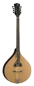 Luna-Folk-Trinity-Bouzouki-Acoustic-Guitar-w-Rosewood-Fretboard-Toned-Back-Natural-Matte-Finish-BGBZ-TRI-image-1