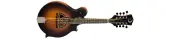 Luna-Folk-Trinity-F-Style-Mandolin-Acoustic-Guitar-w-Rosewood-Fretboard-Tobacco-Burst-Matte-Finish-BGM-TRI-F-image-1