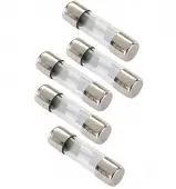 Stinger SE20AMP Agu Style Nickel Plated Fuse 20 Amp Car Audio