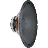 Pro 18 Low Frequency Speaker Driver