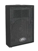 Peavey PVi 10 Carpet Covered 2-Way Speaker System 10" 100W (Single) (570810) Used