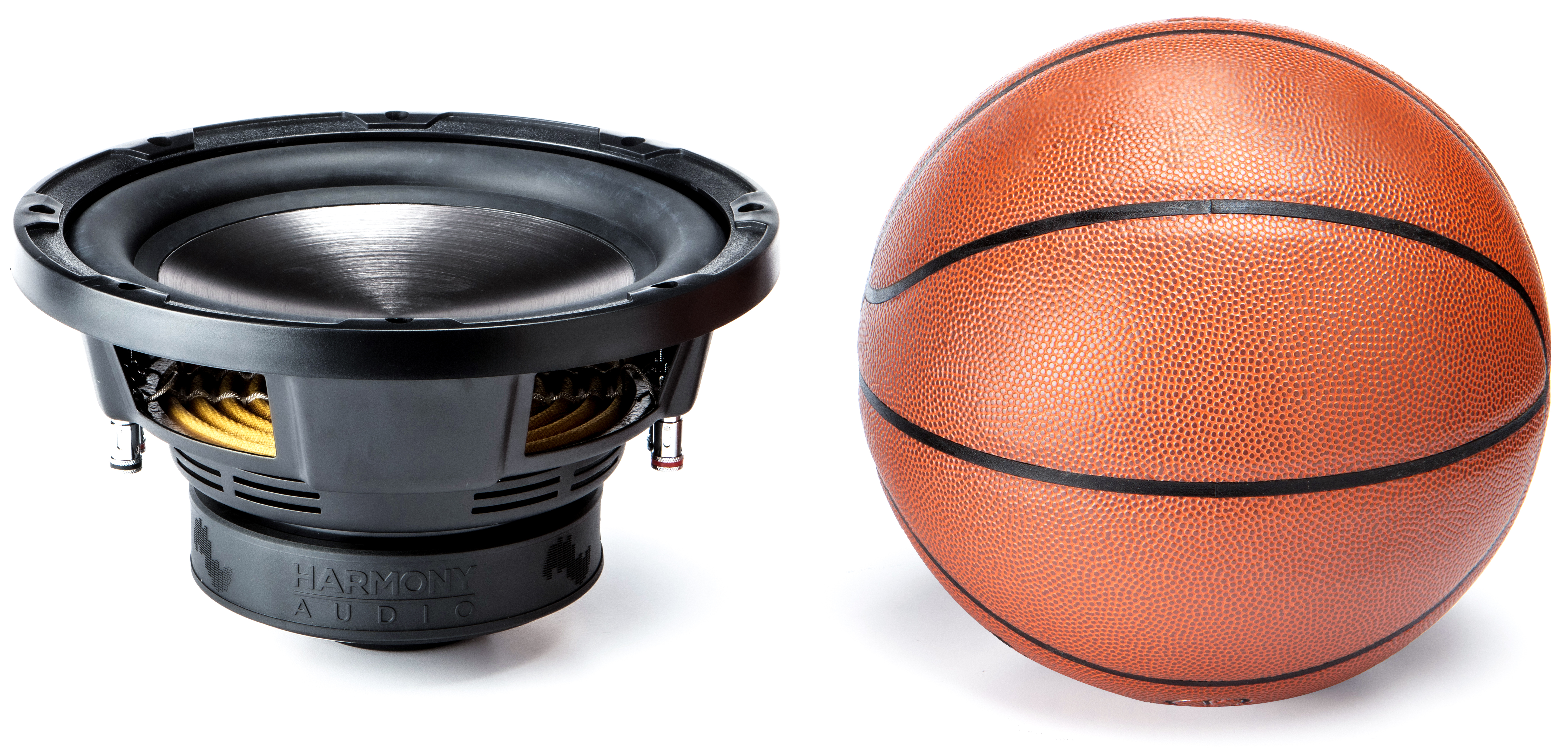 dual 2 ohm 10 inch subwoofer