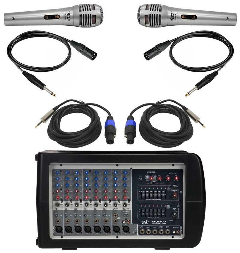 Peavey XR8300 Pro Audio DJ 600 Watt Powered 10 Channel Mixer with (2