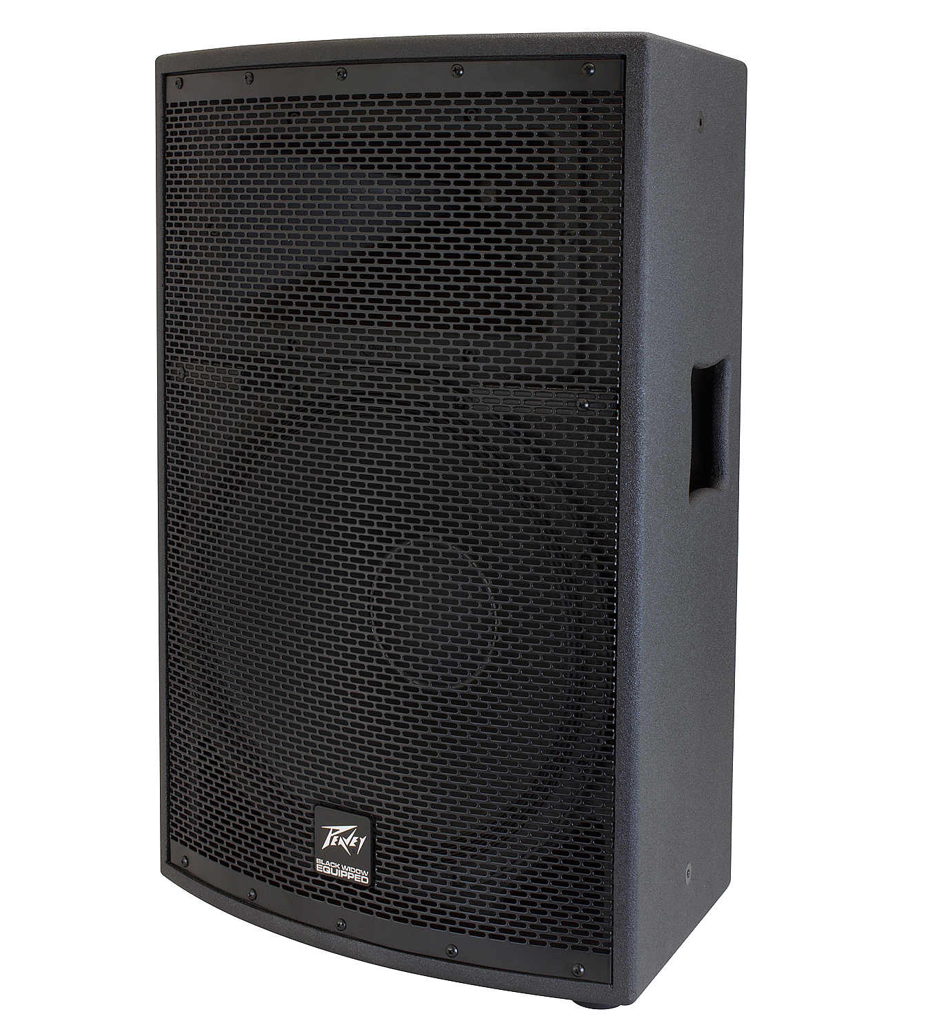 PEAVEY 3614800 SP 2 15