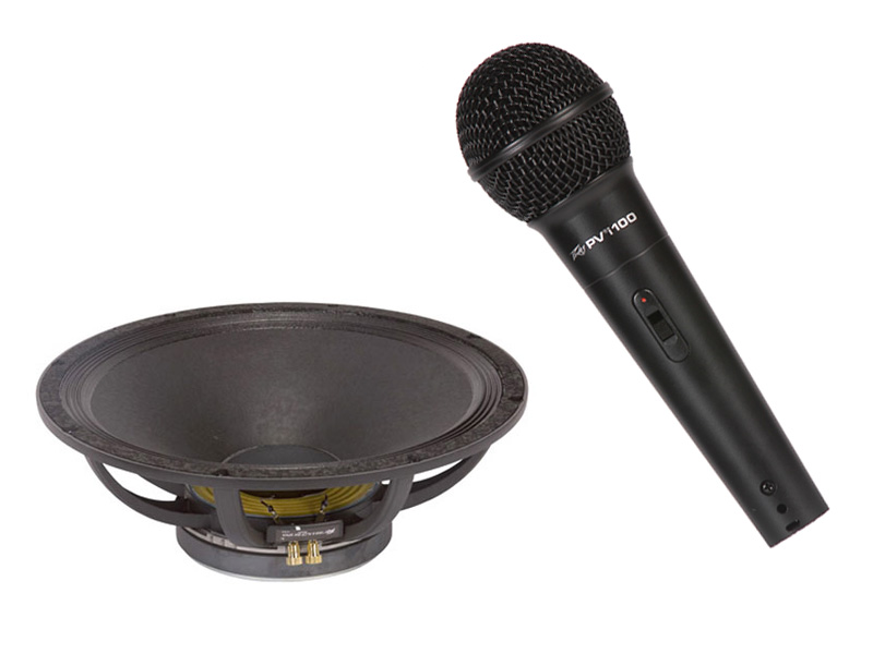 Peavey Pro Rider AL CP 18" Replacement Subwoofer for SP218 SP118 Sub
