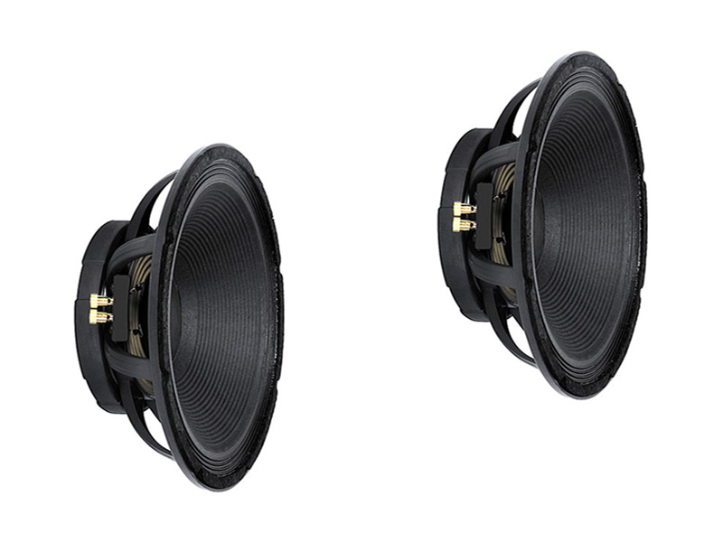 Peavey (2) DT BW 15028 Replacement 15" Sub Speaker for 215D TKO 115 80