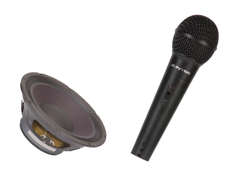 peavey 10 inch replacement speakers