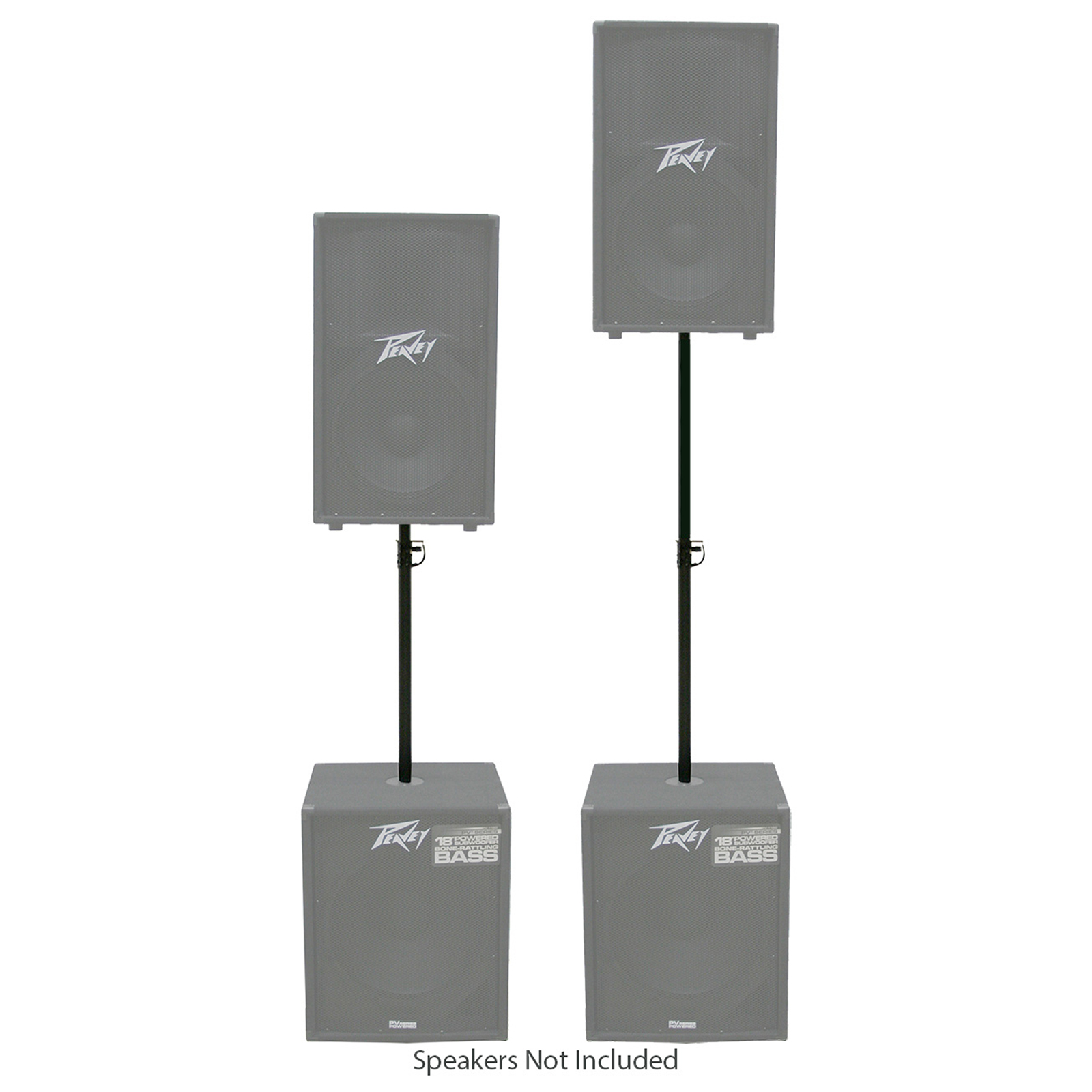 Peavey SP 2 & SP 118 Pro Audio DJ Passive PA Speaker & Sub Package