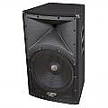Pyle PADH121 600 Watt 12' 2 - Way PA Speaker Cabinet