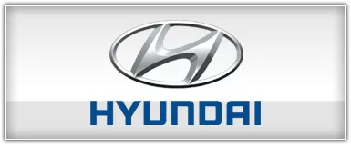 Best Kits Hyundai Installation Harnesses