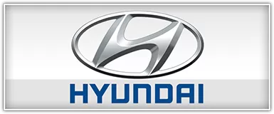 Hyundai Specific Speakers
