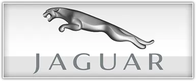 Jaguar Specific Speakers