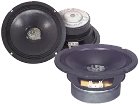 Pro Audio 6 Inch Replacement Subwoofers