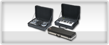 SKB Controller Cases