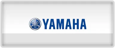 Waves & Wheels Yamaha UTV Speakers