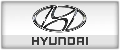 iSimple Hyundai iPod Vehicle Solutions