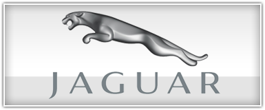 Jaguar Dash Install Kit