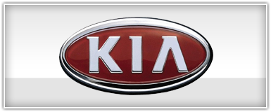 Kia Dash Install Kit